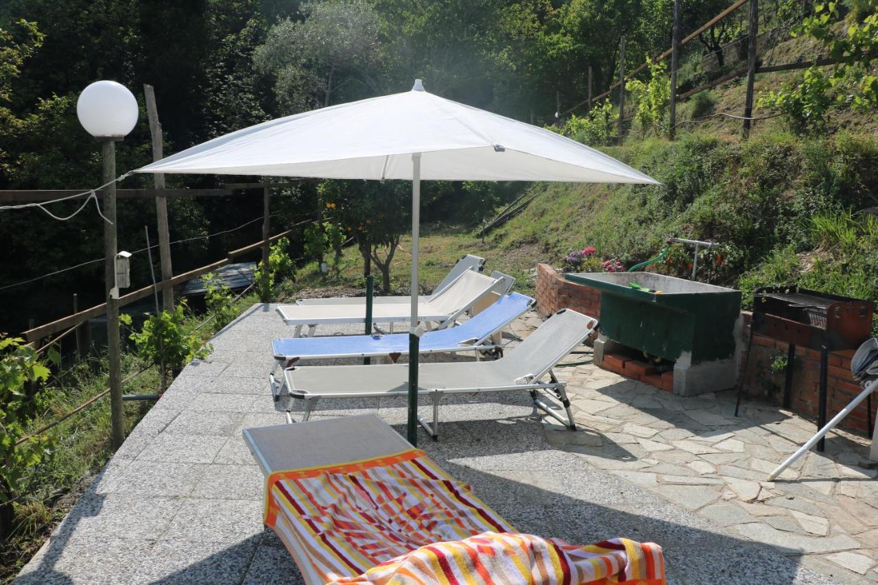 Villa Maremonti - Con 3 Piscine Sestri Levante Bagian luar foto